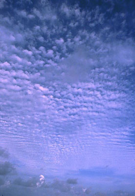Cirrocumulus