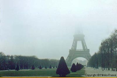 Stratus